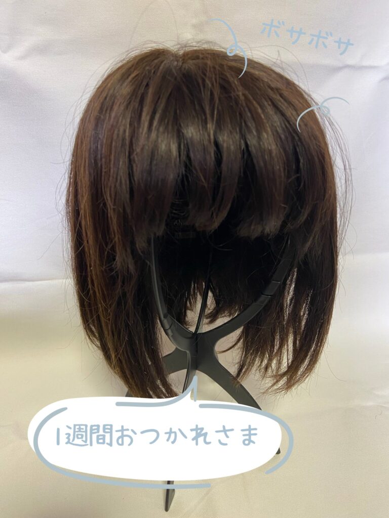 ブライトララオールインワンシャンプー前