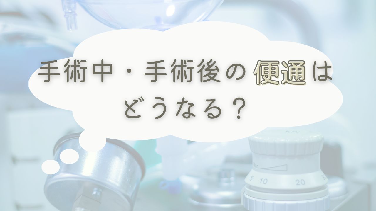 手術中・手術後の便通はどうなる？